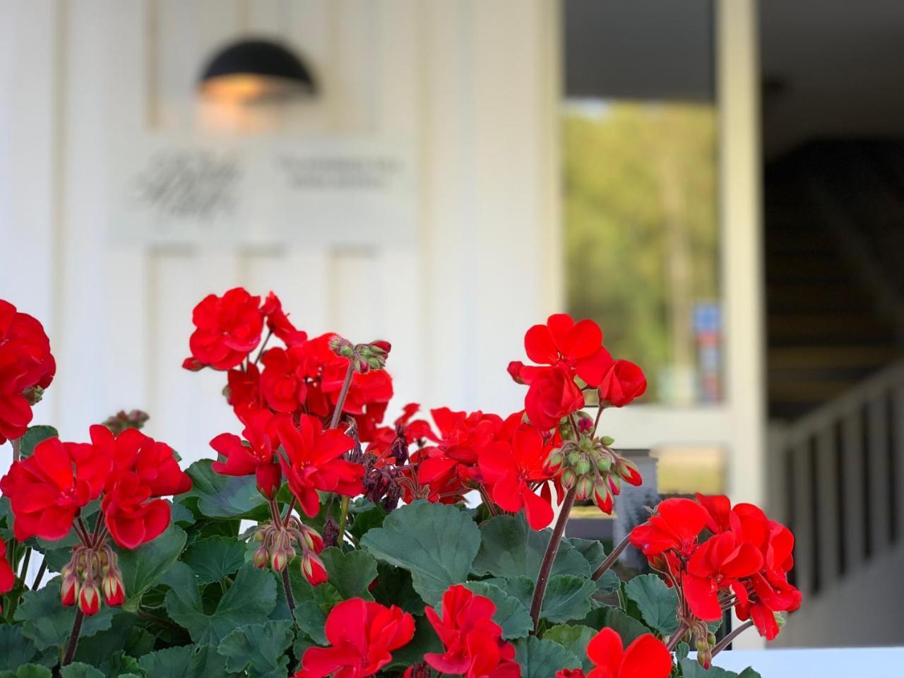 Böda Hotell Hotell